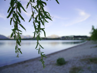 wanaka